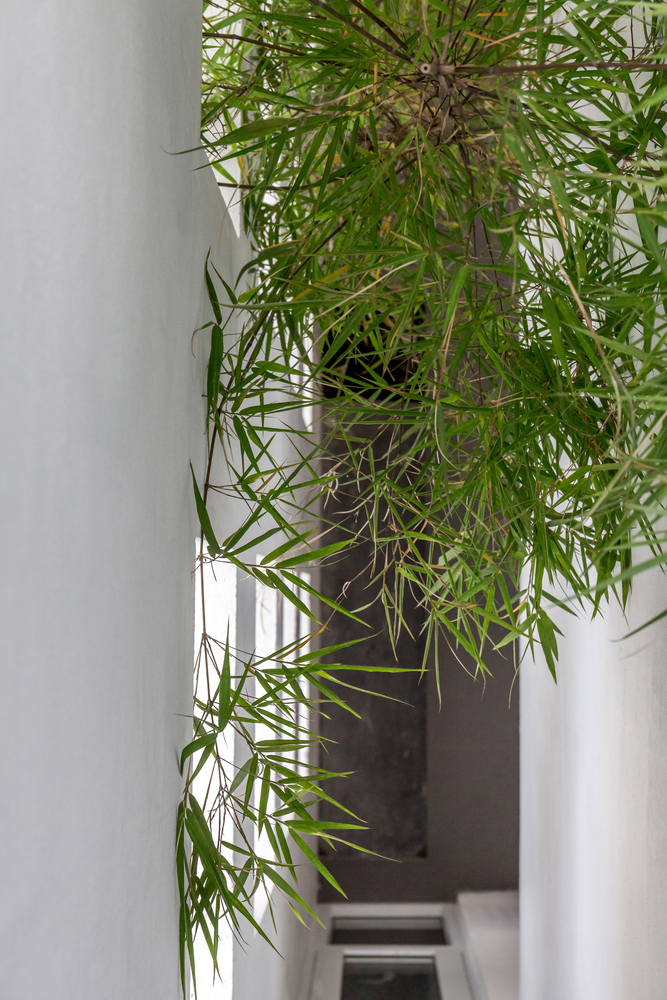 越南中部狭长土地上的共生小屋-29