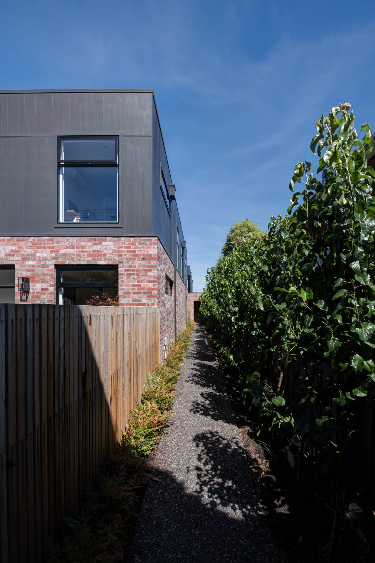 _The Stand_Kew Taylor Pressly-13