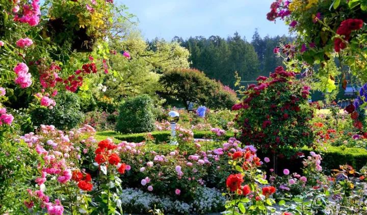 世界上最大的私家花园，迄今已有116年历史！-46