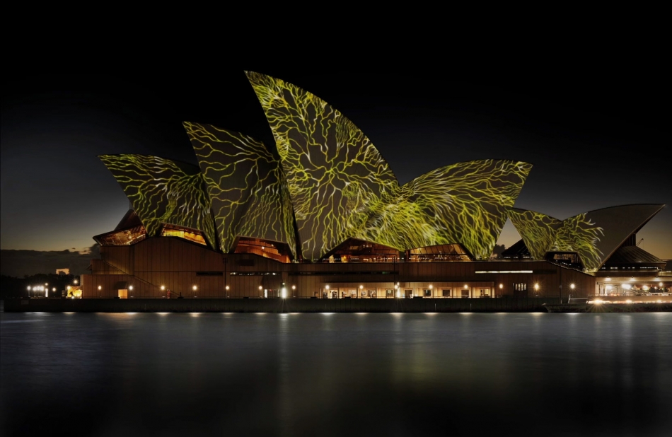 悉尼歌剧院“活壁画”项目丨澳大利亚悉尼丨Universal Everything-25