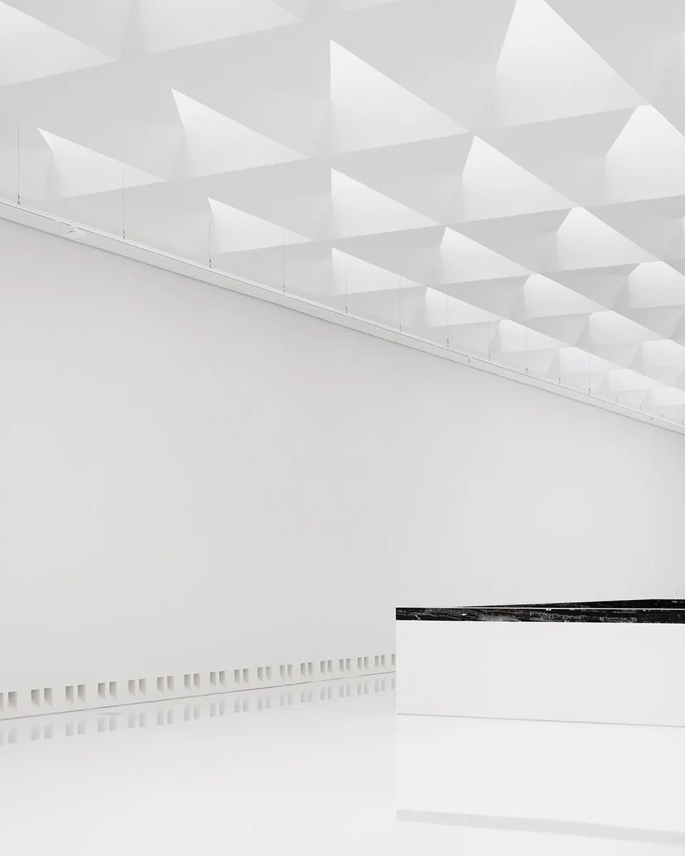 地质与环境中心丨德国丨KAAN Architecten-211