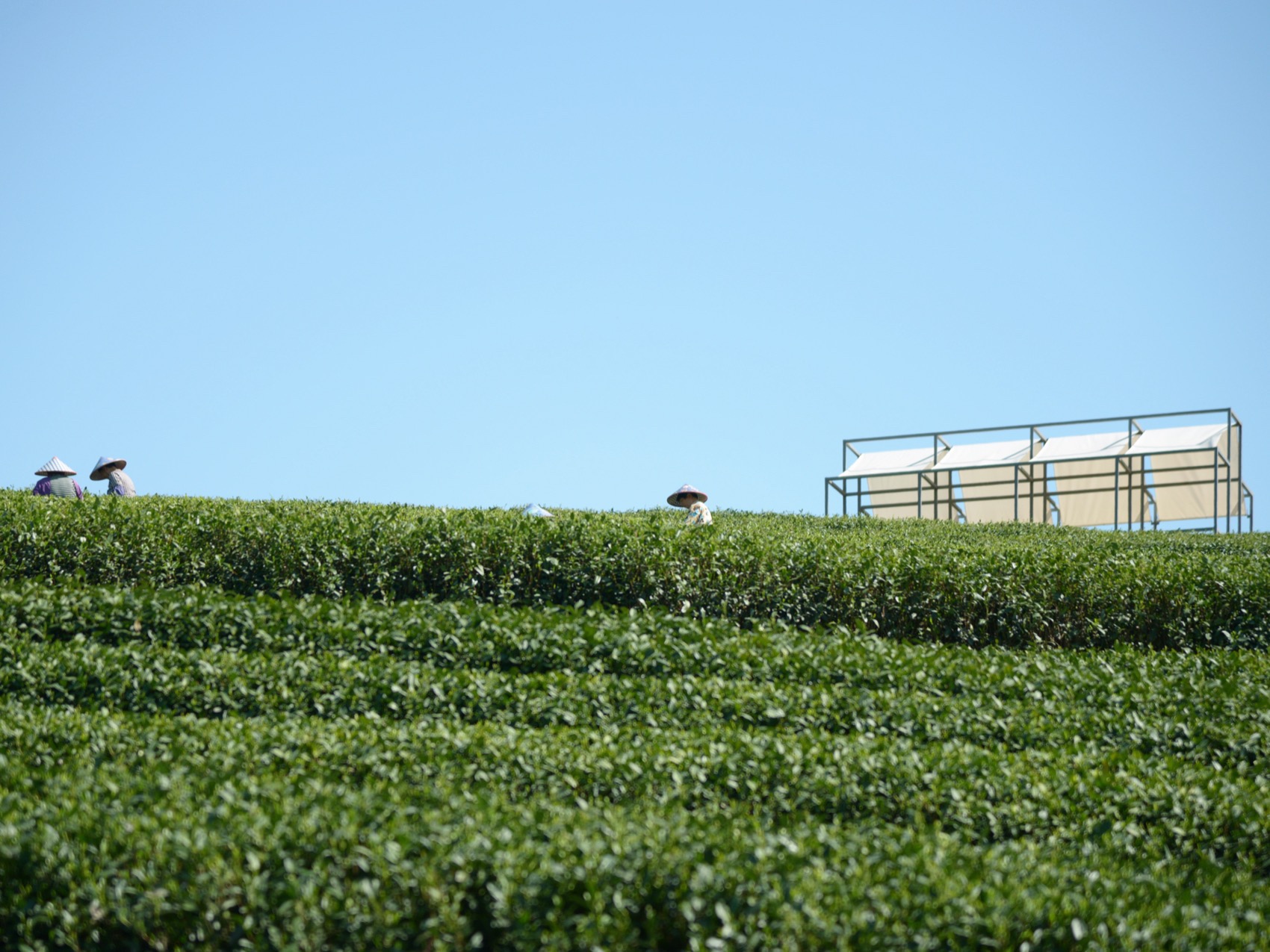 长埭村艺术乡建系列茶山浮亭丨中国杭州丨由牧建筑-24