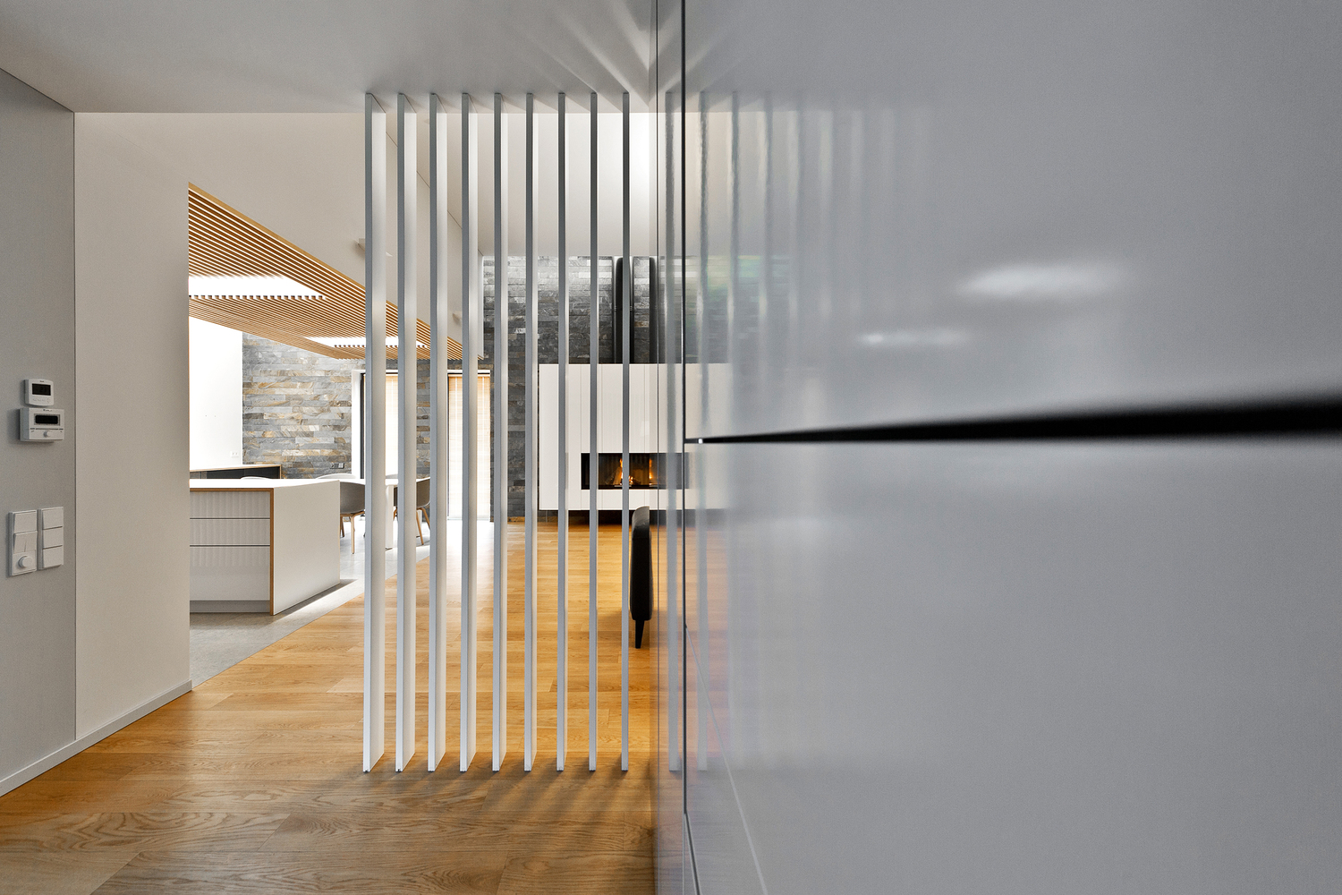 Black House in Vilnius  Laurynas Žakevičius architects-48