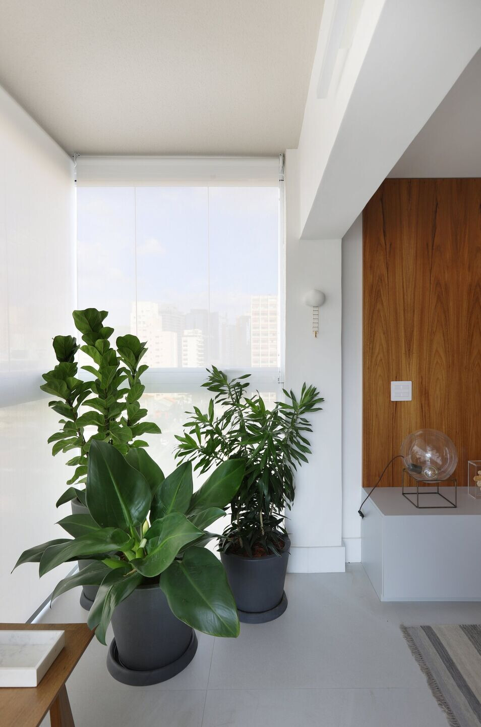 热带风情融入圣保罗公寓丨巴西圣保罗丨Dirani e Marchió-45