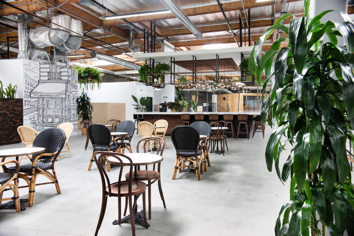 图贝斯科学工作室-18