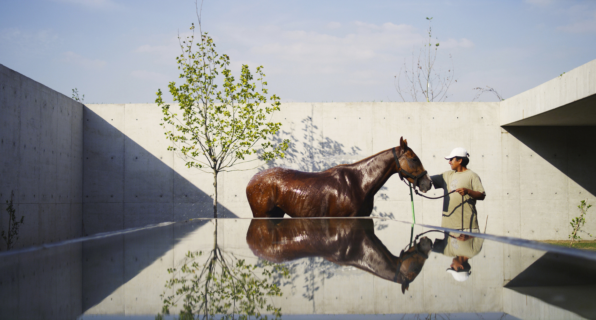 菲格拉斯马球马厩-37