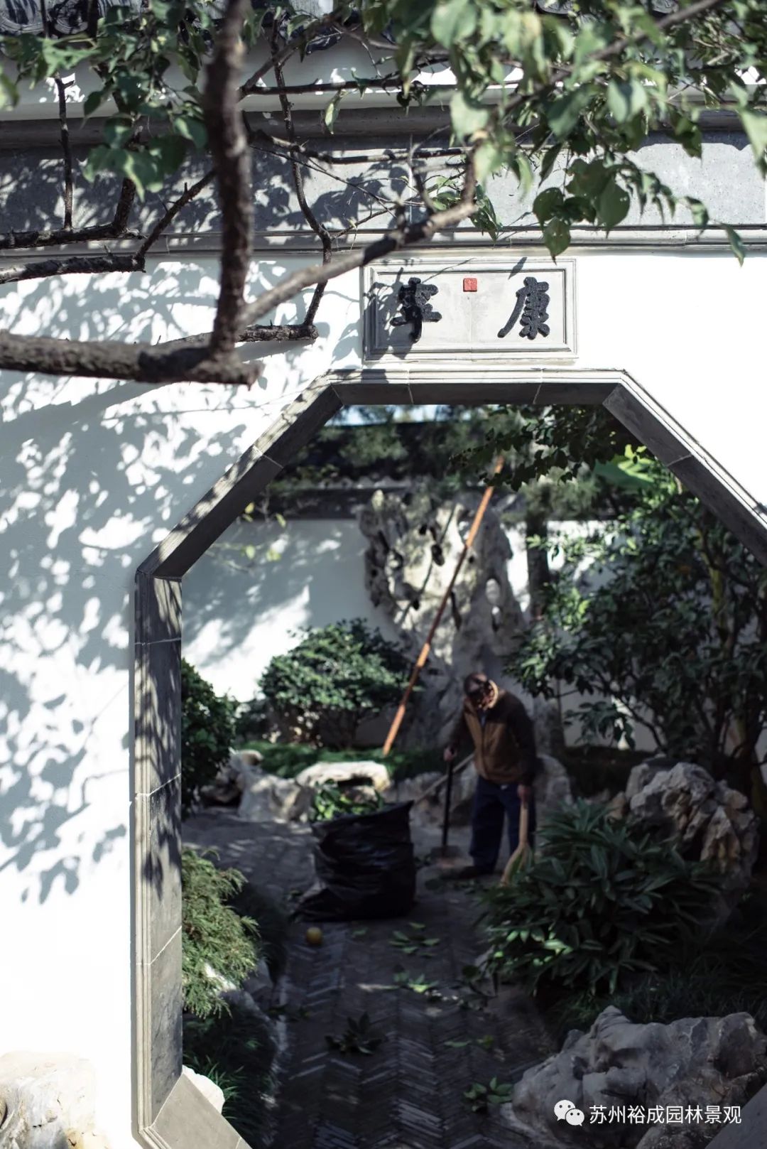 苏州桃坞雅园—芳园 | 园中园的苏式园林艺术-11