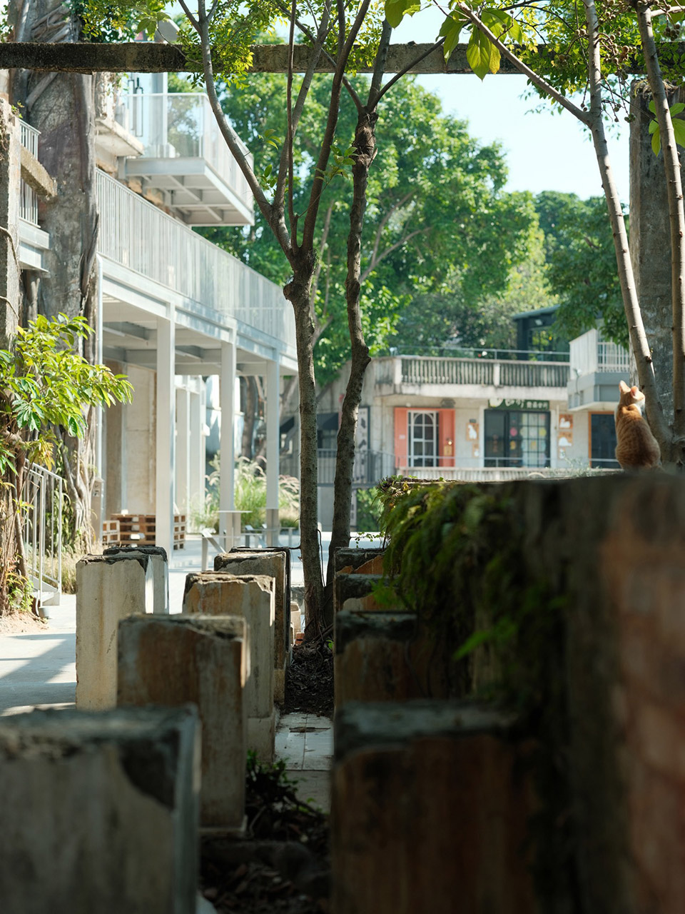 森野长廊丨中国惠州丨BDSD吾界设计-77