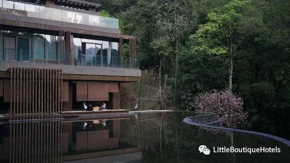 青城山坐忘森林酒店 | 一步一禅,一宿一悟的禅意度假胜地-0