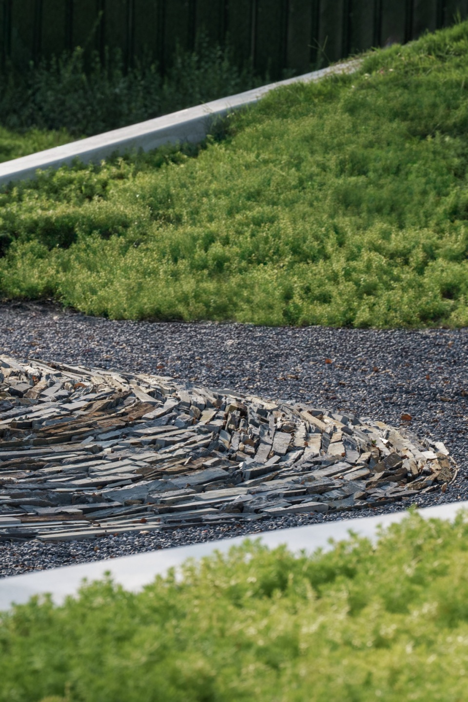 常州合全药业研发园区景观设计丨中国常州丨上海易栖建筑设计有限公司-65