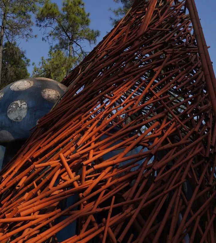 沈阳建筑大学“生长中的熊猫舞台” | 竹构与场地的共生设计-37