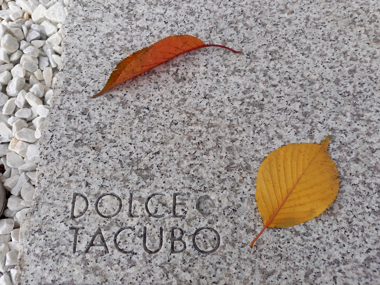 东京 Dolce Tacubo Patisserie 甜品空间丨日本东京丨Tadokoro Architects-27