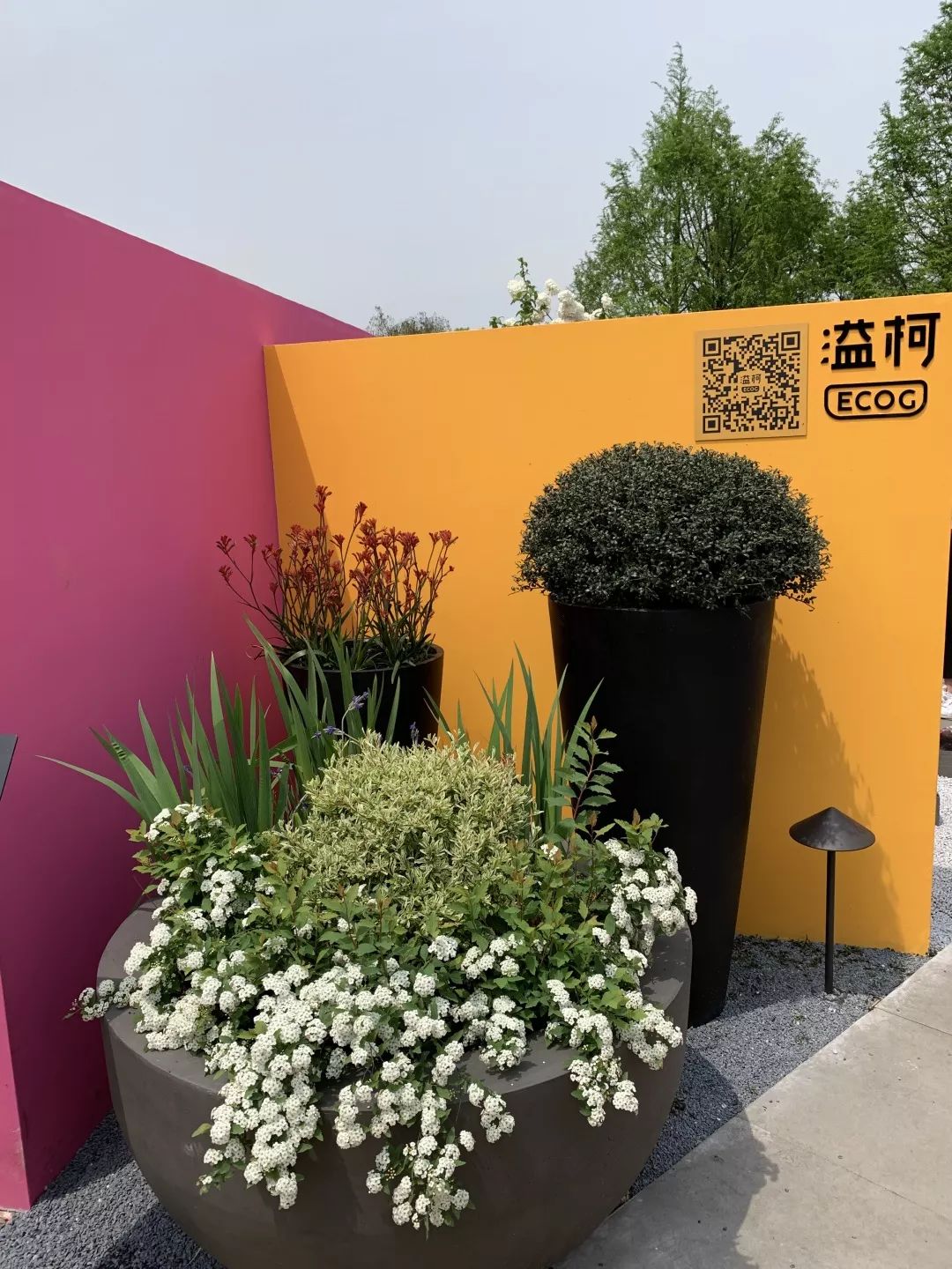 2019 西湖花园节创意花园设计亮点解读-84