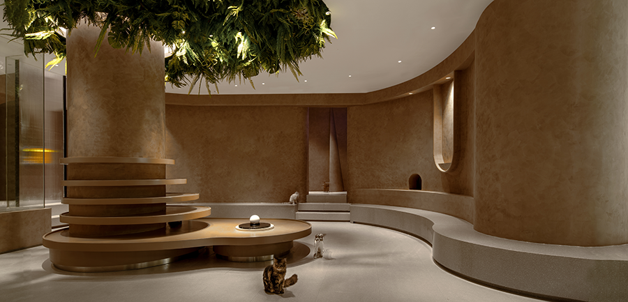 猫植说创意餐厅丨TTD 设计-10