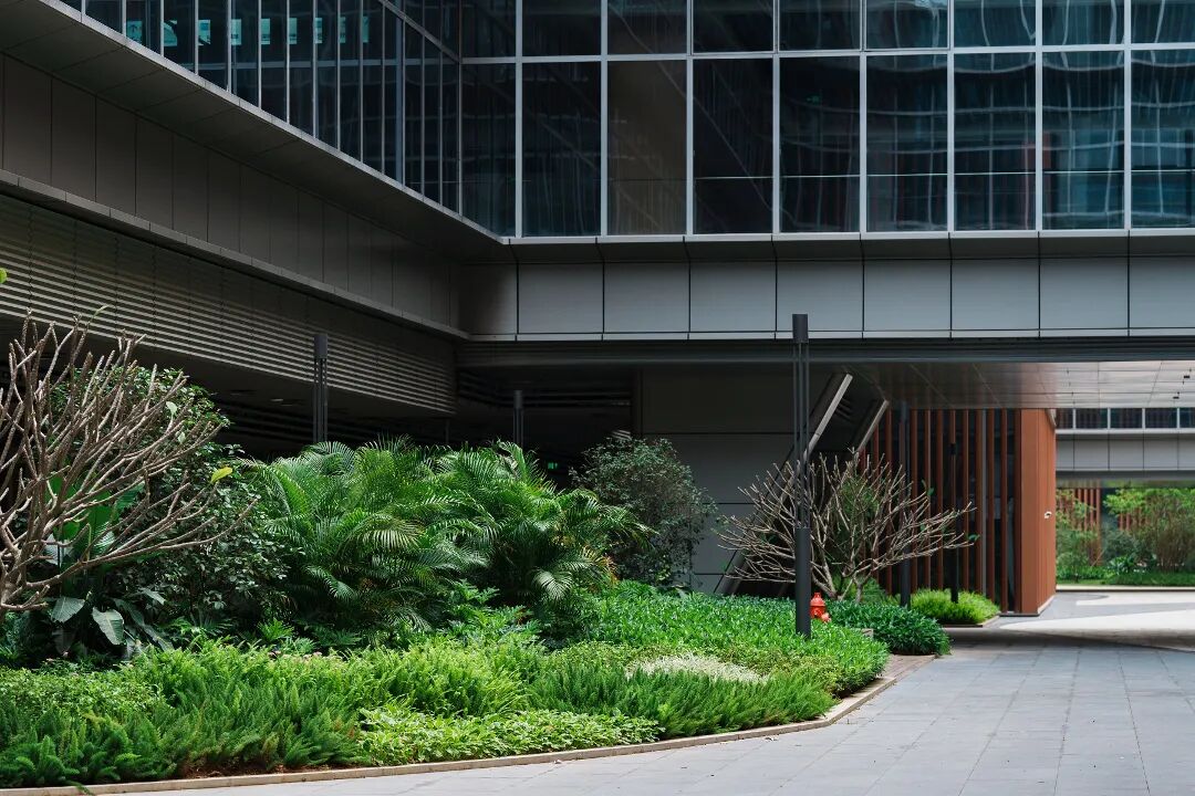 中山大学附属第七医院(深圳)二期项目景观绿化工程丨中国深圳-12