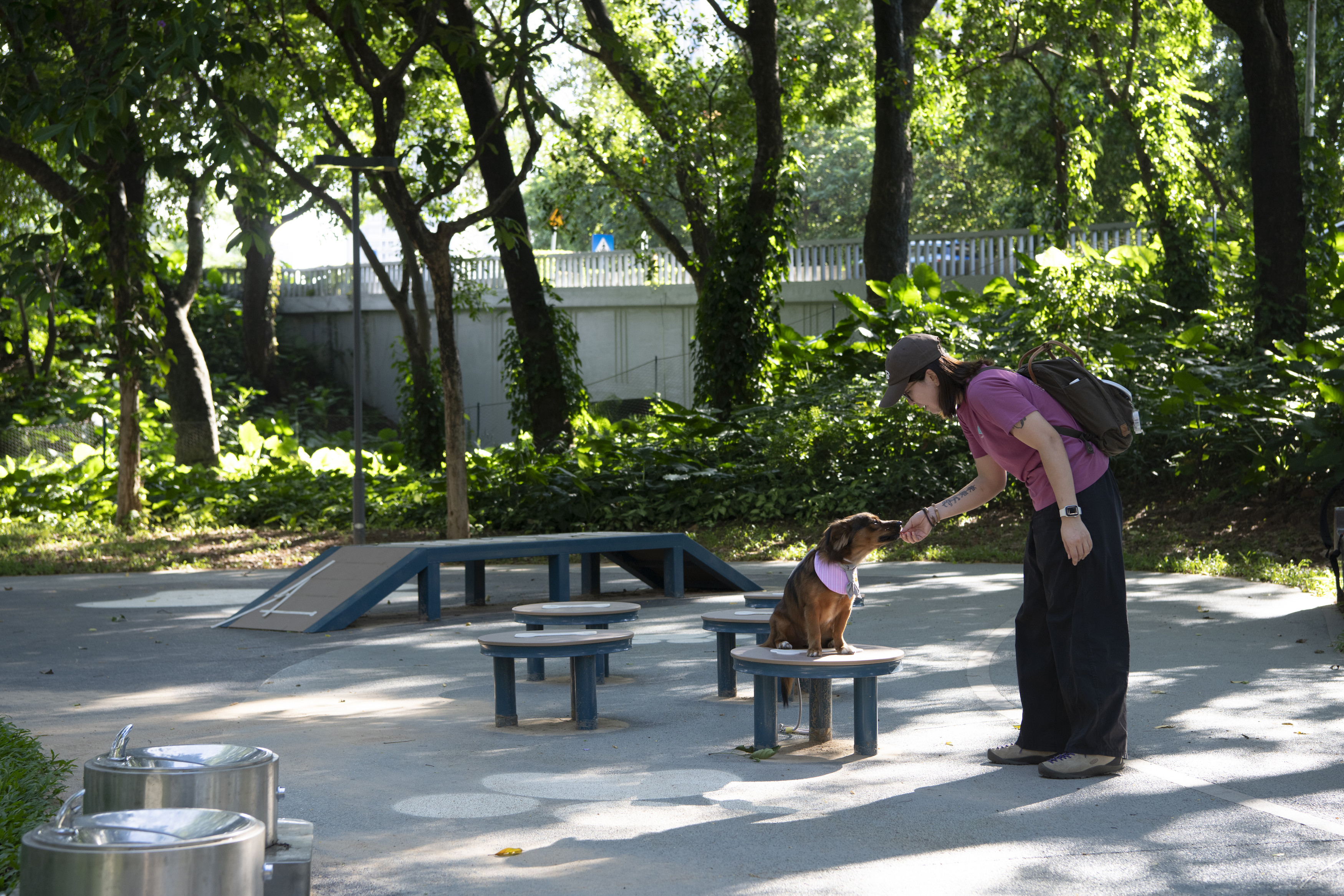 深圳市罗湖泥岗东路宠物友好口袋公园丨中国深圳丨深圳市未名设计顾问有限公司罗湖分公司（WMLA）-63