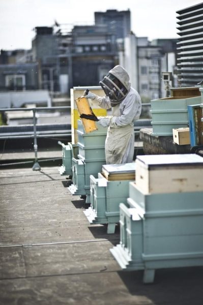 Fortnum & Mason 百货商店改造丨英国伦敦丨Jestico + Whiles-19