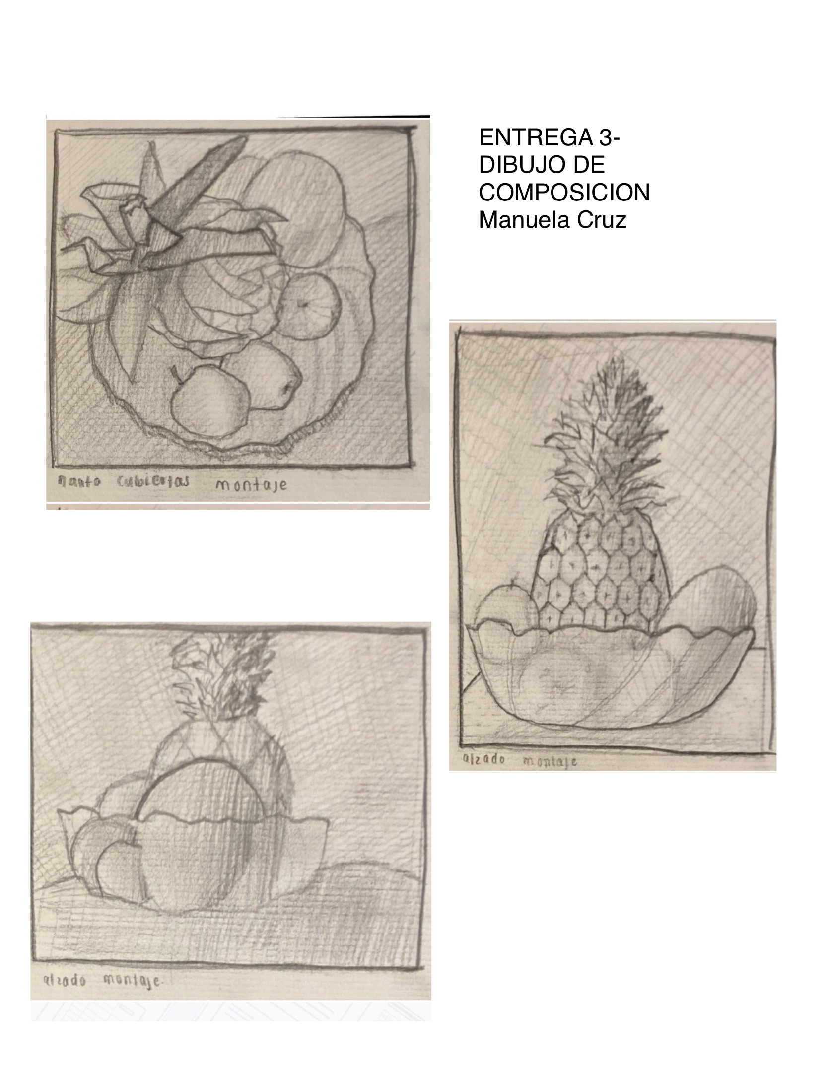 观察绘图丨Jose Rengifo-6