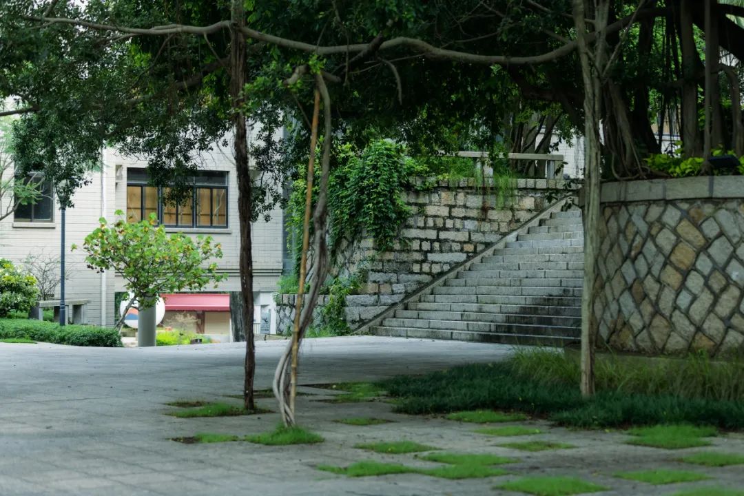 鹭潮·鼓浪屿美院丨中国厦门丨GND杰地景观-60