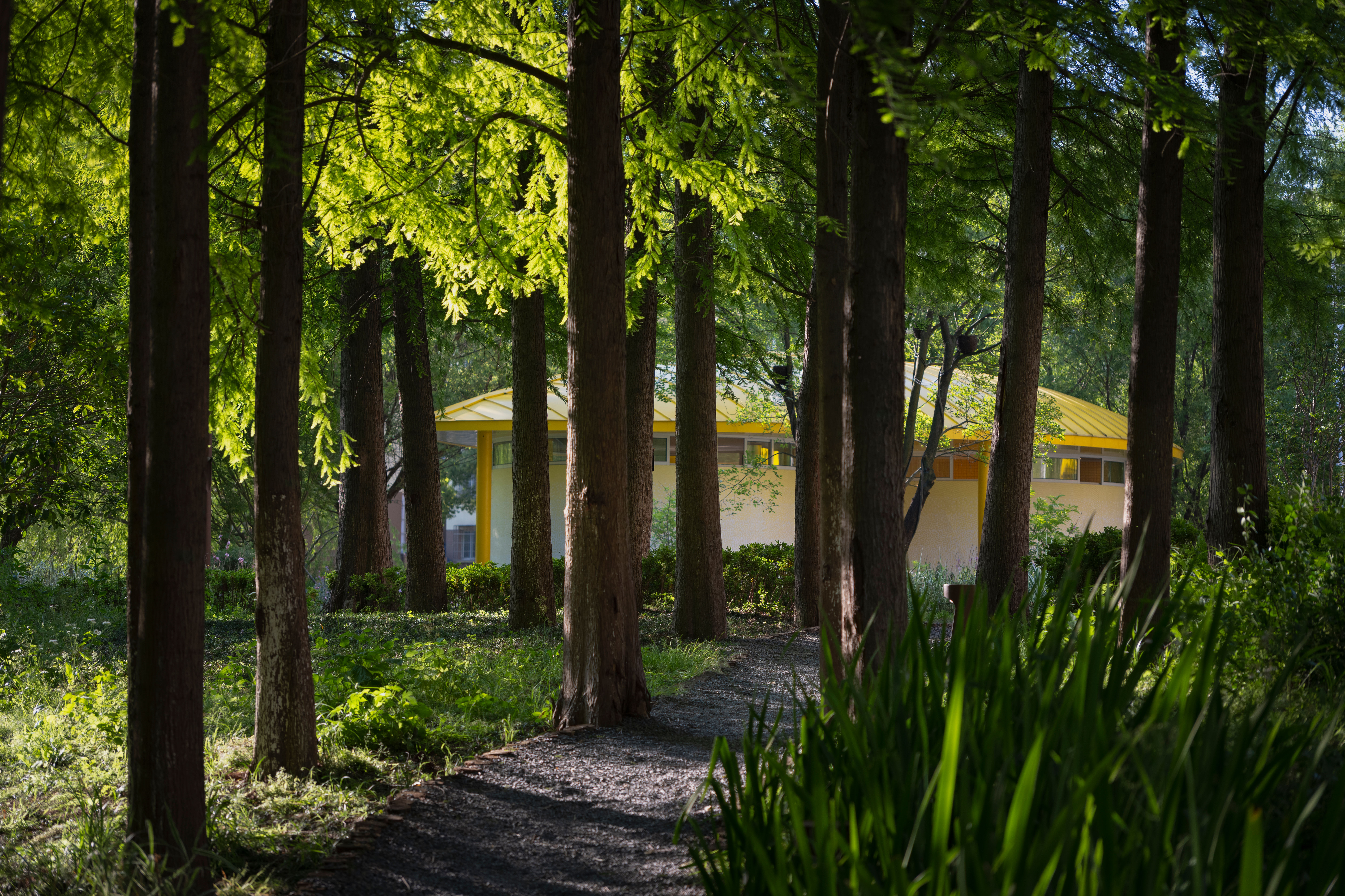 The Orchestra Park · SoBA（华宵丝竹滑板公园）丨中国江苏-34