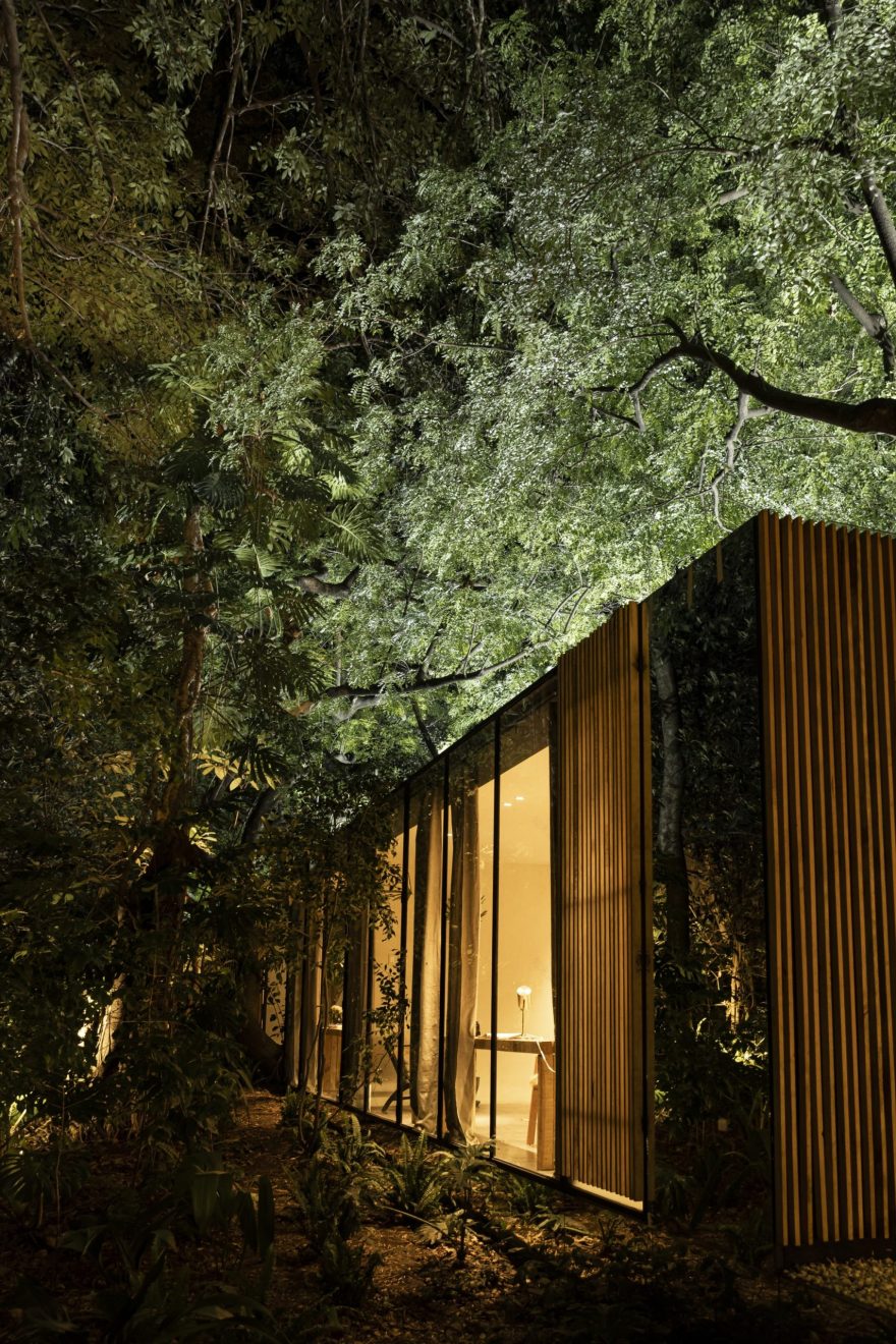 Casa Mague 住宅丨墨西哥丨MCxA Mauricio Ceballos Architects-56