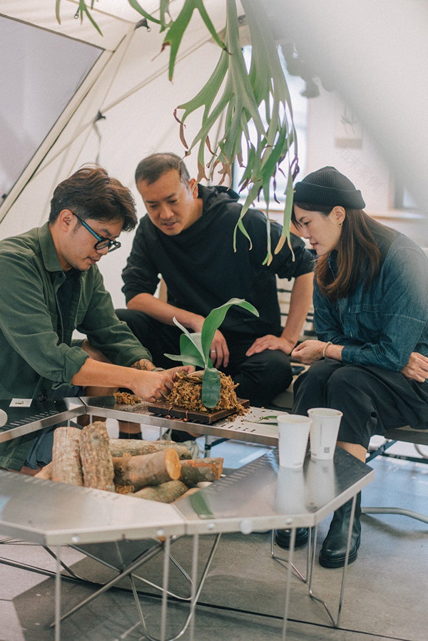 CornerGreen植角|植栽教學・森學【鹿角蕨居家佈置及上板課程】體驗工作坊-15