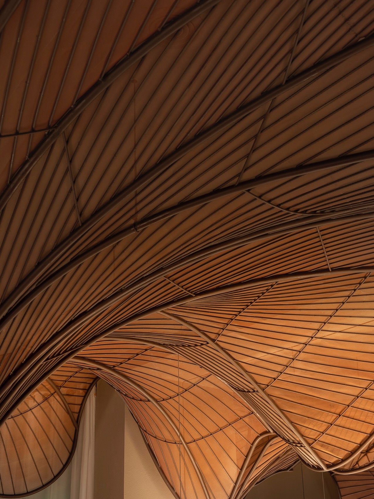 唐采，山西 / 浆果设计研究所-47