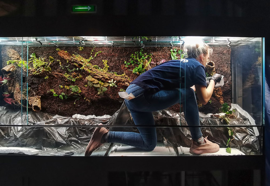 “Литораль”(“海岸带”)水族箱水陆箱丨俄罗斯丨Аква Лого Инжиниринг-34