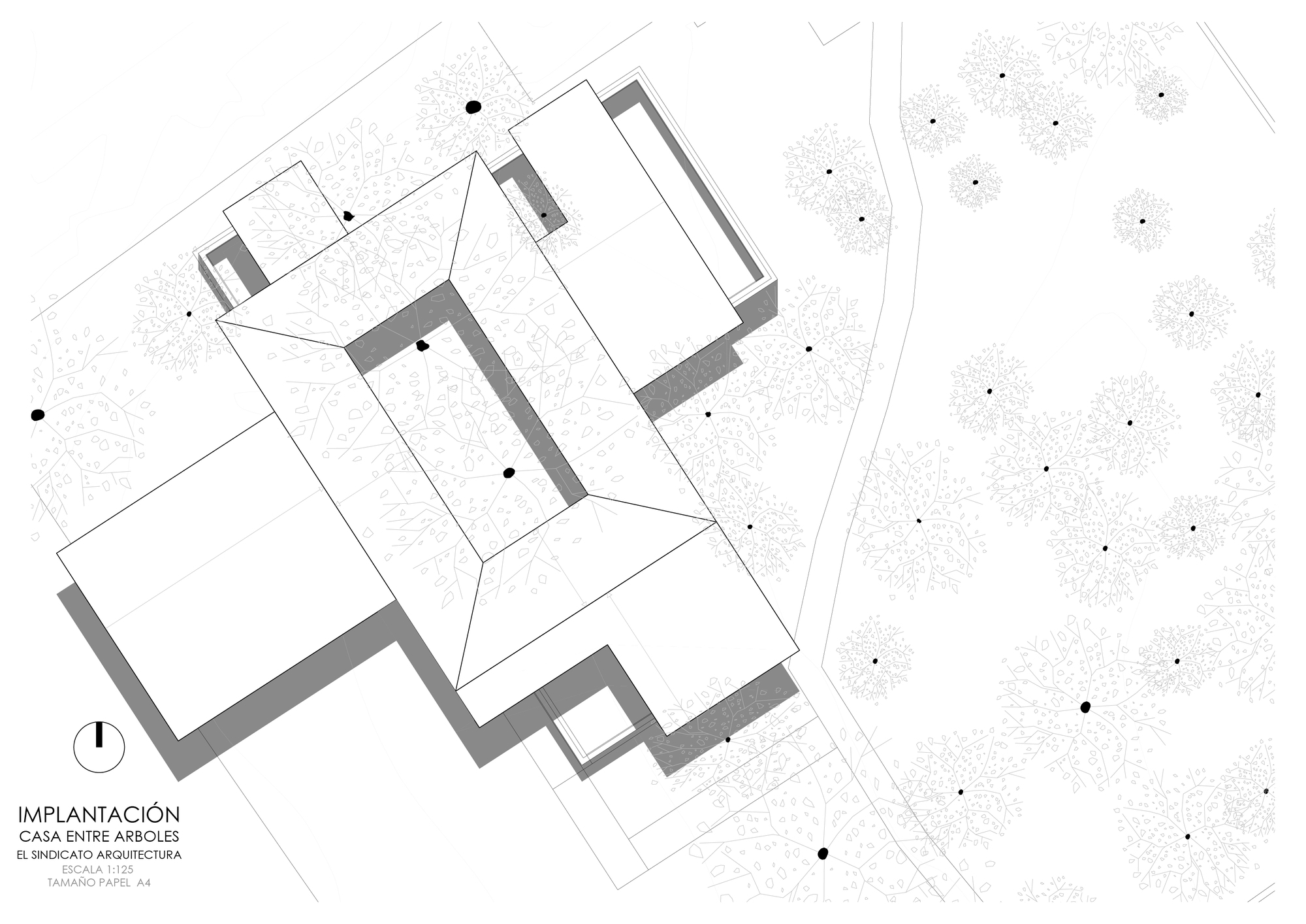 House Among Trees / El Sindicato Arquitectura-53