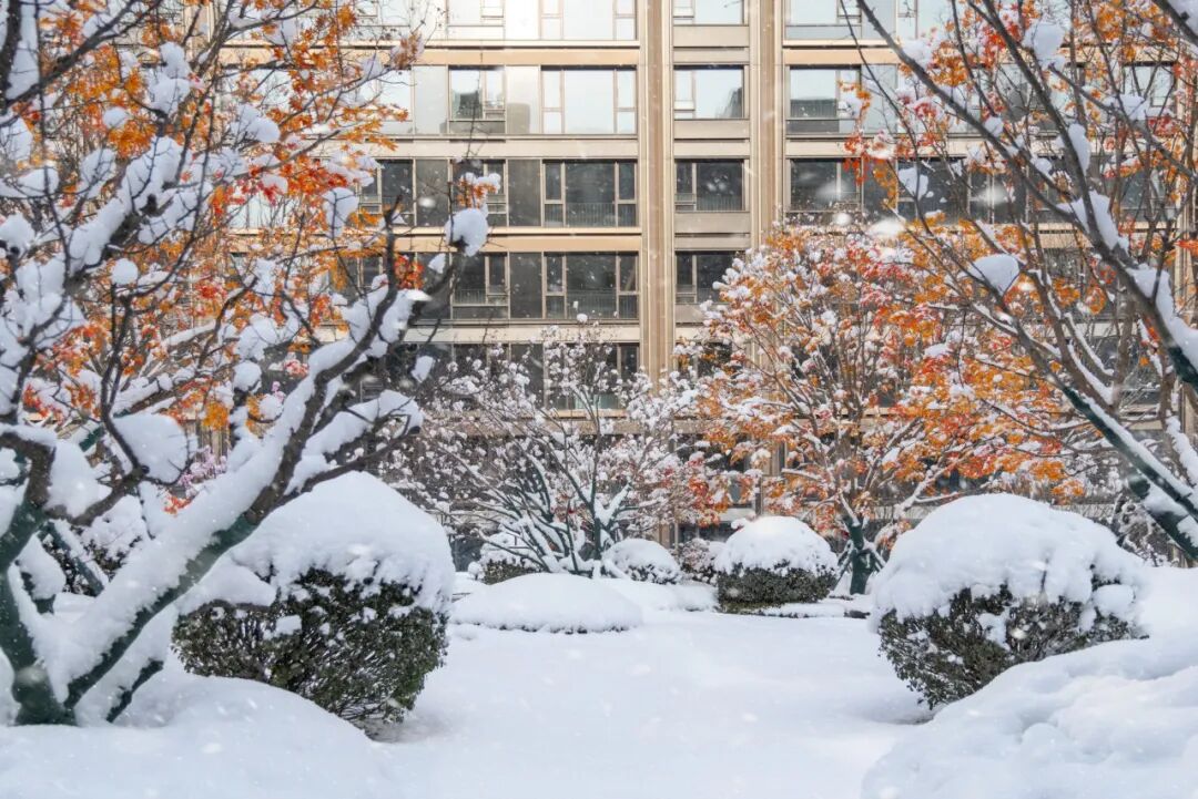 北京·中海·翠湖玖章丨中国北京丨麦田景观-11