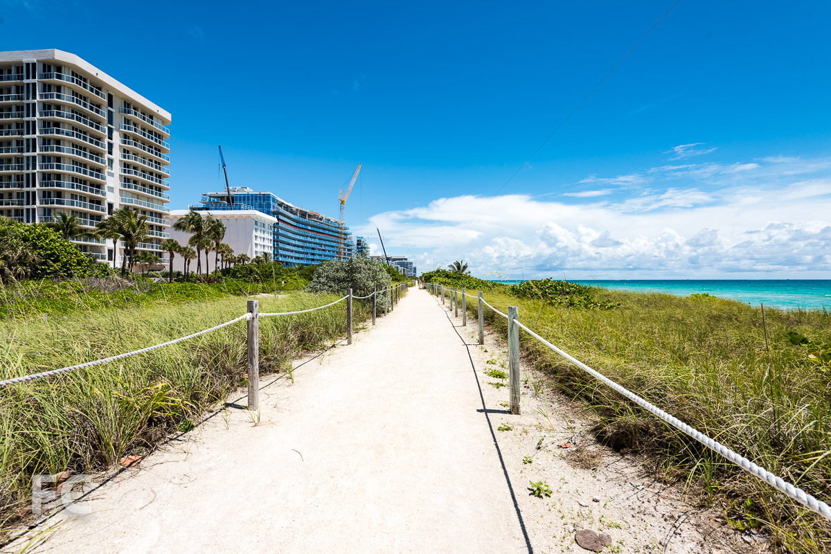 The Surf Club — FIELD CONDITION-0