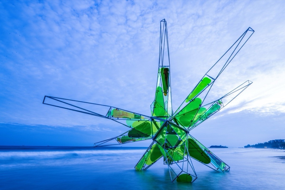 波普星 – 苔之拂晓丨中国陵水丨一本造工作室-16