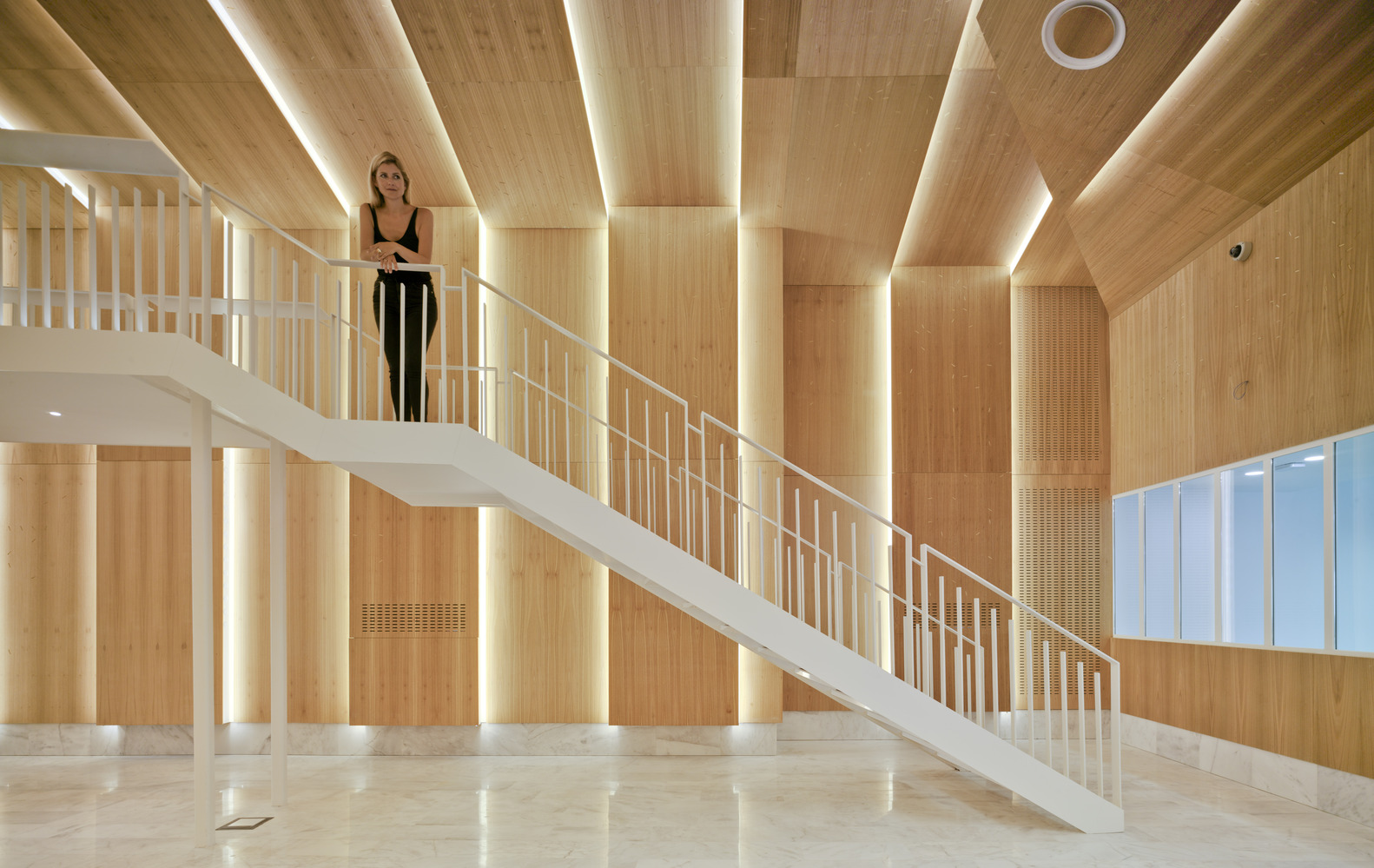 西班牙阿利坎特大学自然博物馆室内设计-9