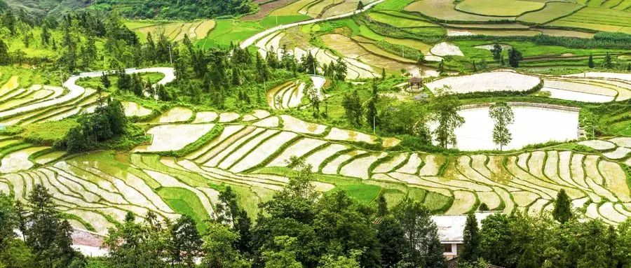 浏阳市永安镇乡村振兴规划丨中国湖南丨秋凌景观-50