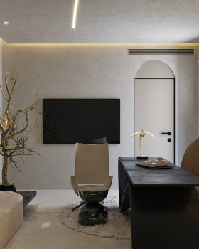CEO office ( ceia clinic ) at dubai
