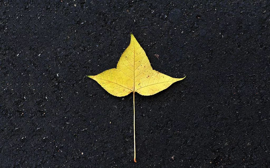 简约探险,气质大宅-61