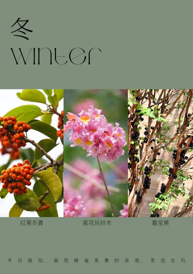 林间绿岛，人文雅居 | 深圳静安府-75