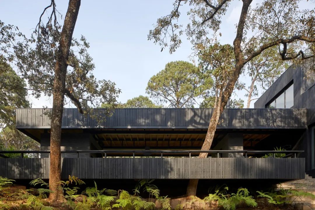 墨西哥现代住宅设计 | 融入自然，展现多元文化-119