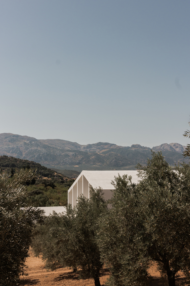 西班牙橄榄庄园乡村酒店 · 传统与现代的完美融合-30