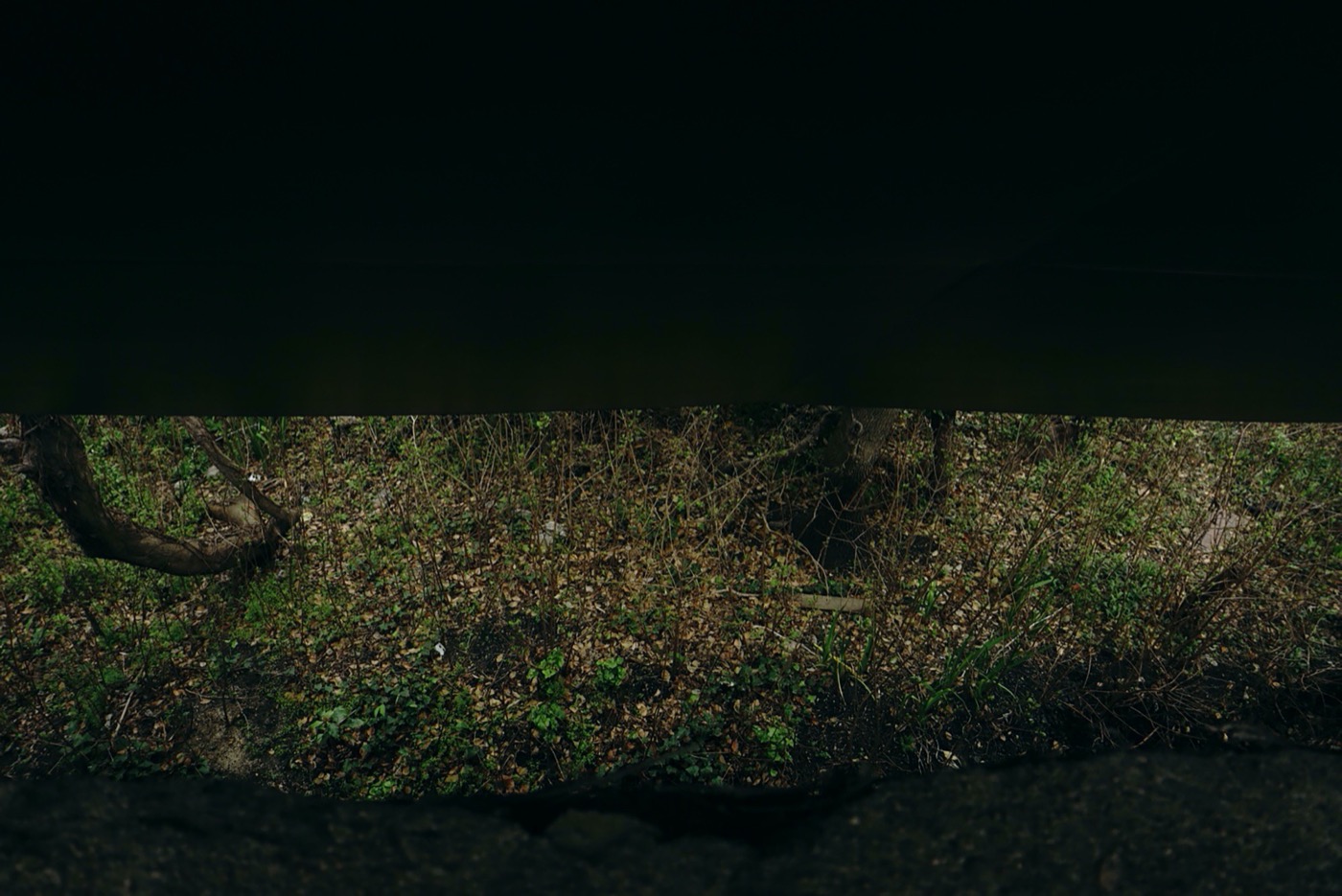 Edge Garden 景观设计丨中国上海丨YIYU-0