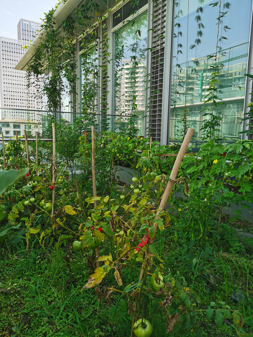 中建滨湖设计总部丨中国成都丨中国建筑西南设计研究院有限公司-62