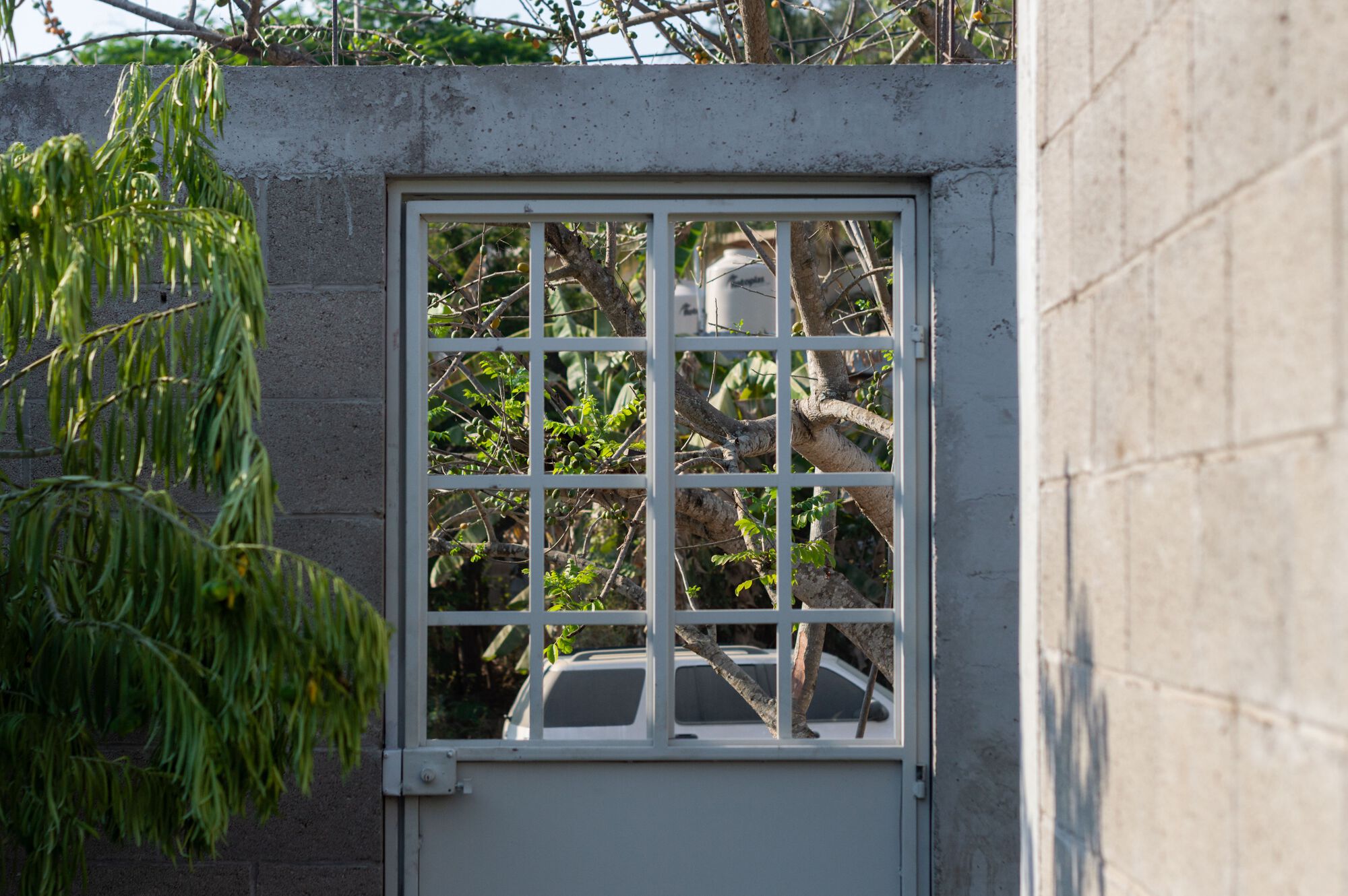 巴拉哈斯住宅丨墨西哥丨Nomic-18