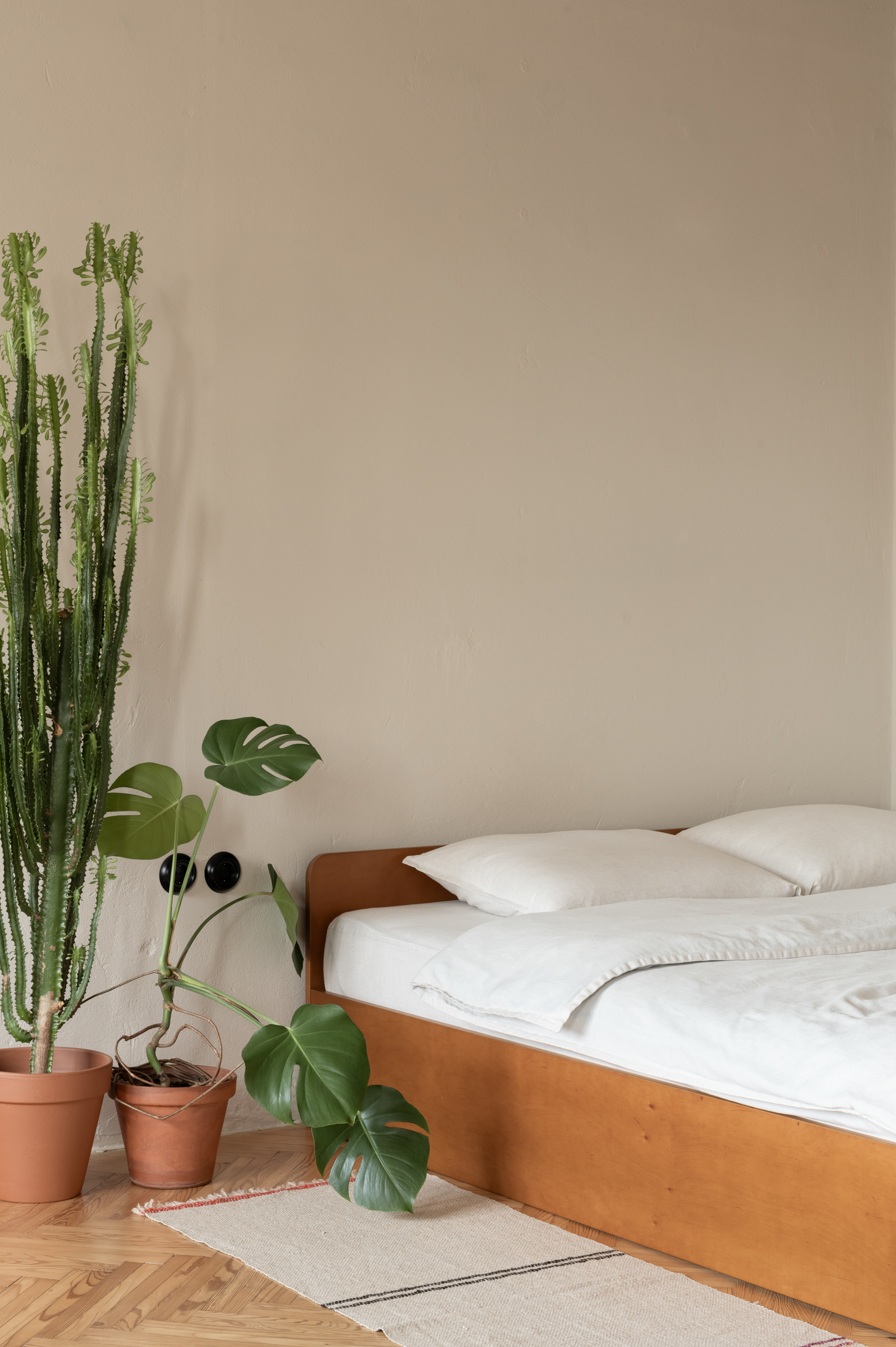 若ZOZULKA为特定人名、地名或品牌名等专有名词，通常可直接音译为佐祖尔卡  丨乌克兰利沃夫丨Iryna Bilohan-37