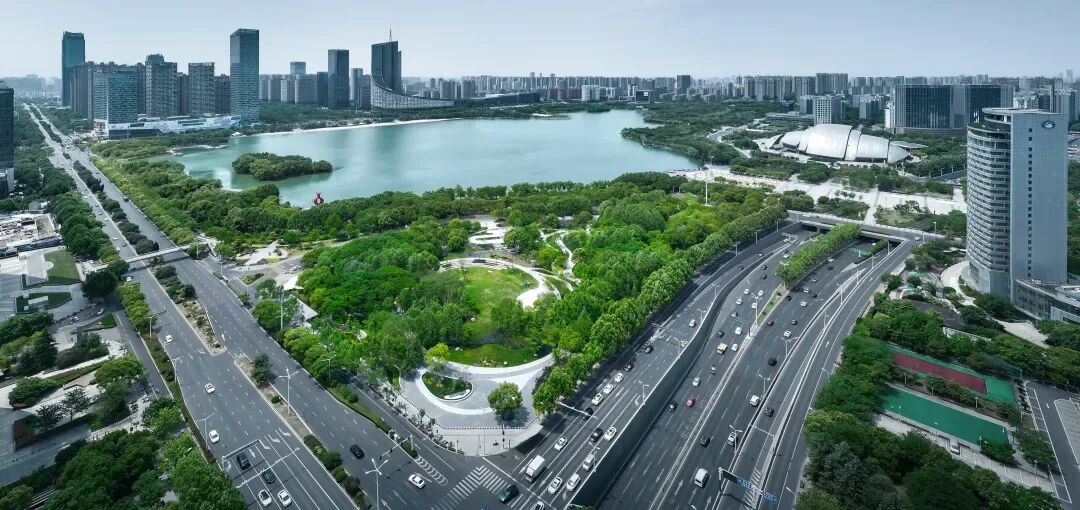 唤醒自然，天鹅重现—城市里的治愈系游园|园科作品-1