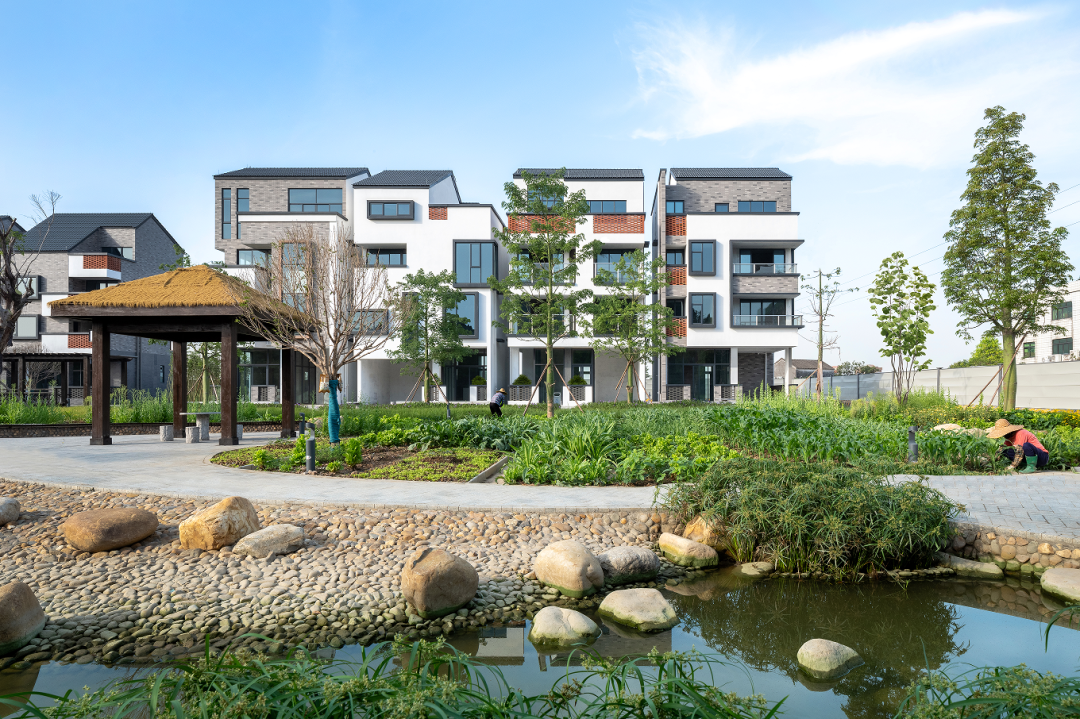 华艺出品｜华艺助力顺德自建房向美而行，成功入选2024年度佛山市十大改革创新典型案例-42