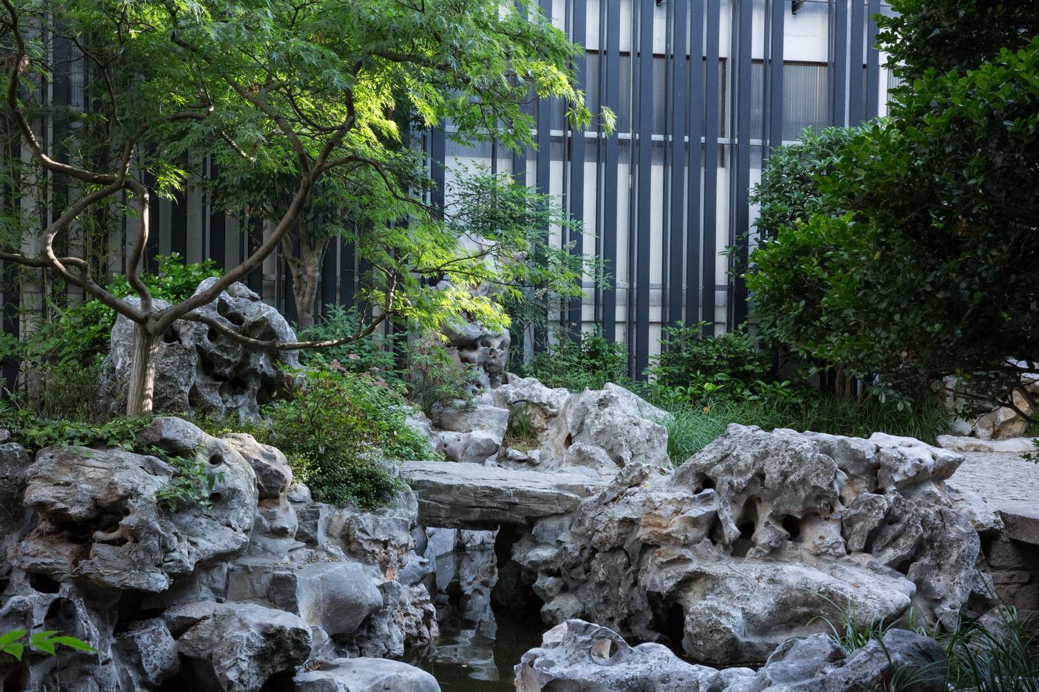 上海八分园景观-15