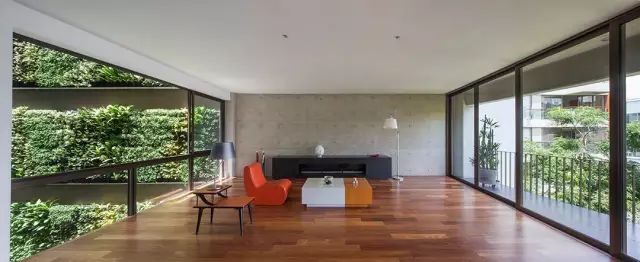 绿先生 | 把热带雨林搬进城市的垂直花园之父-61