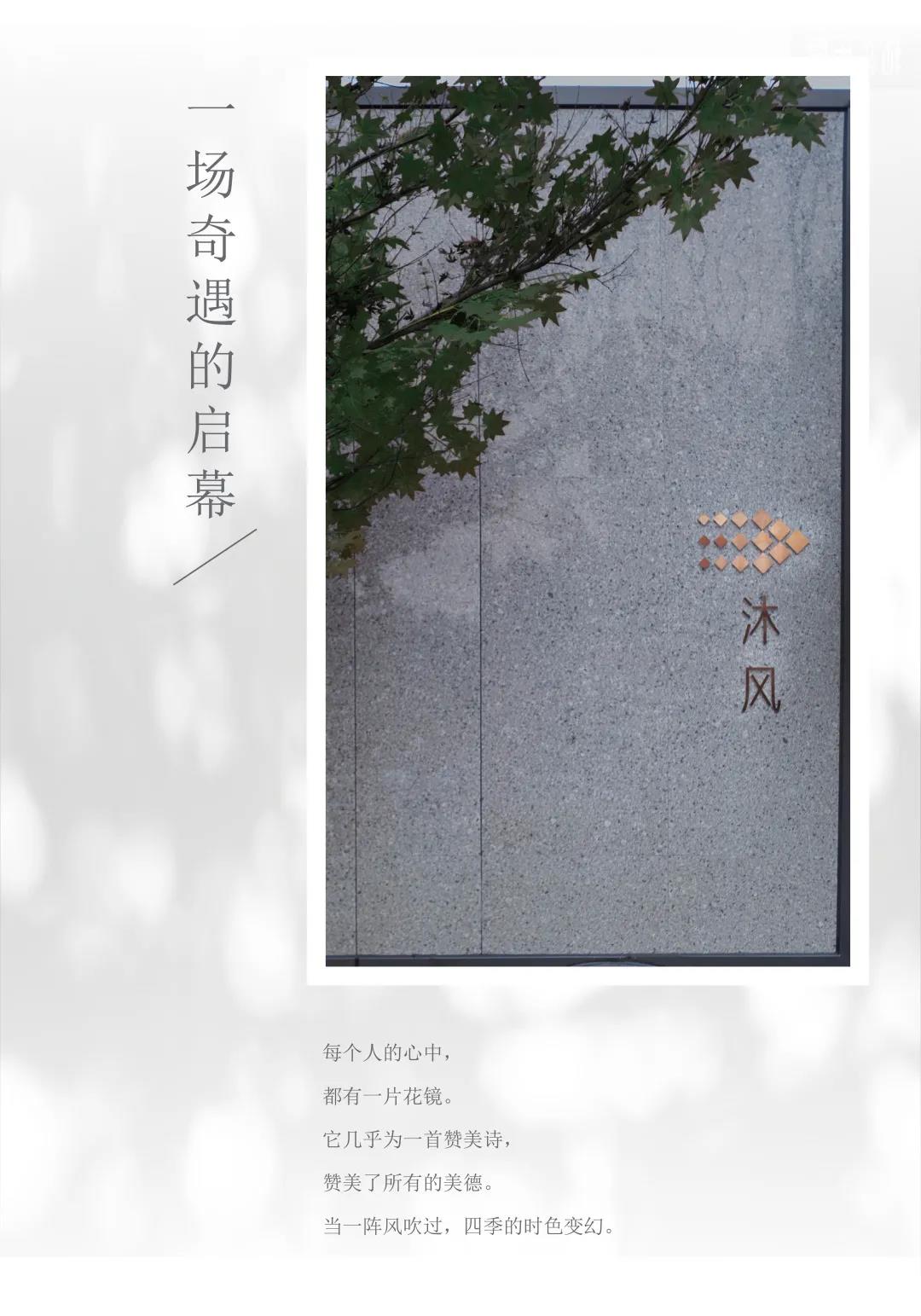 中梁潍坊·云璟原著丨中国潍坊丨林俊俊,周杰,张群,吴忧,王雅静,朱元铭-56