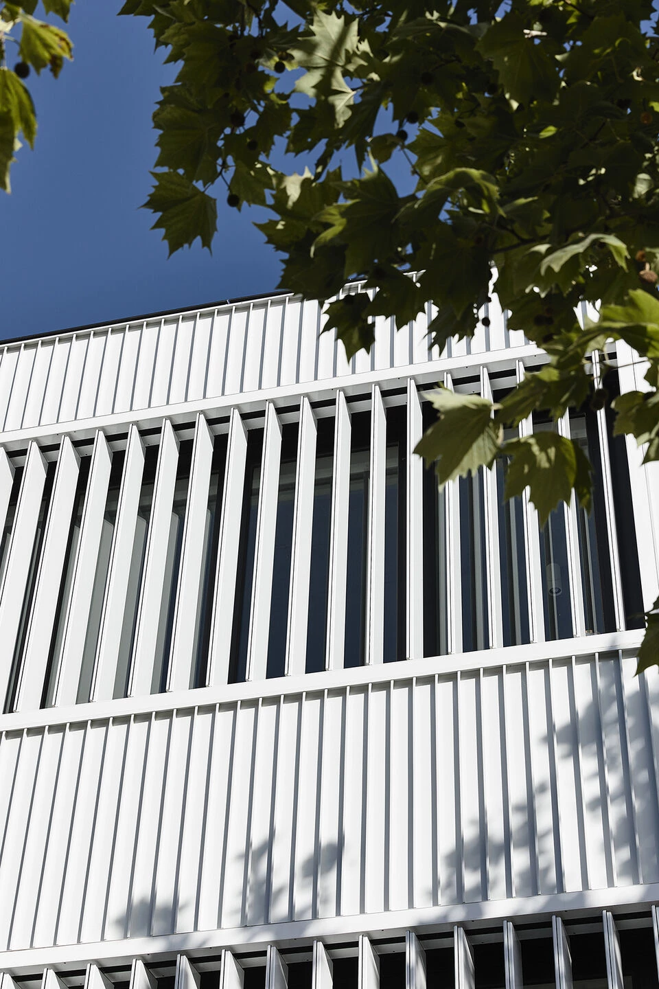 墨尔本 Adela 公寓丨澳大利亚丨Jost Architects-72