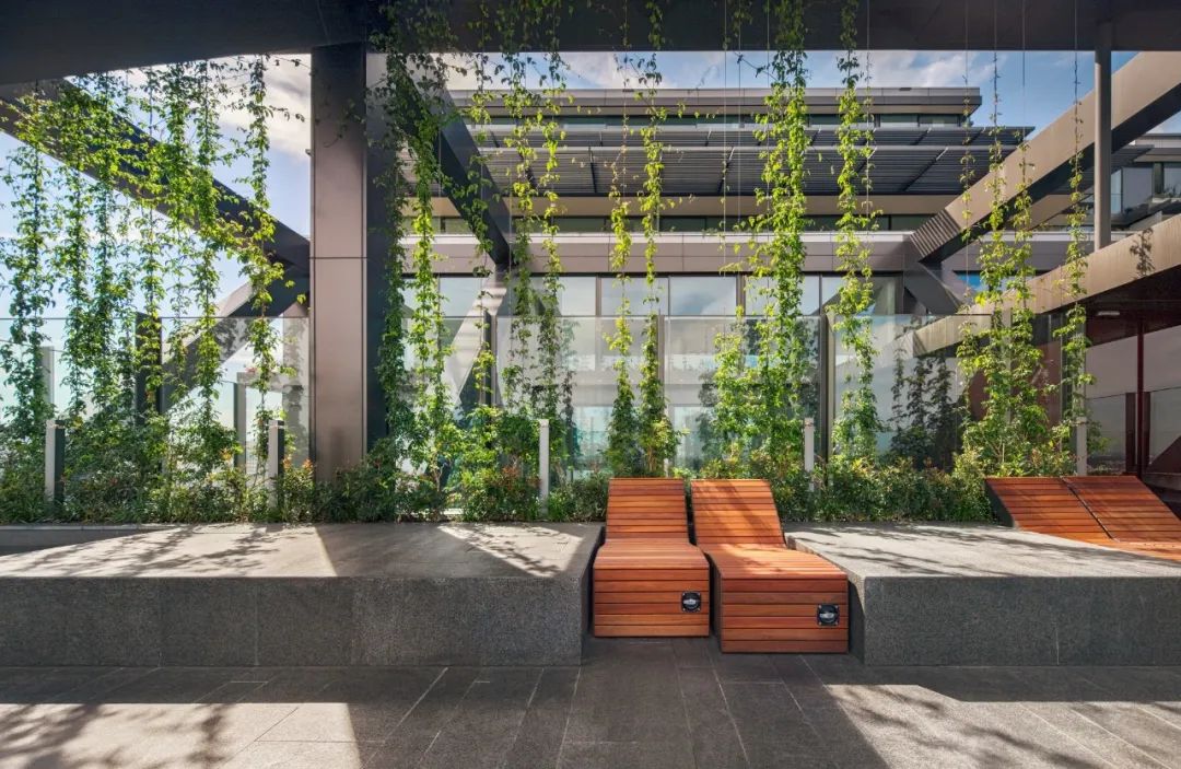 悉尼中央公园一号丨澳大利亚悉尼-28